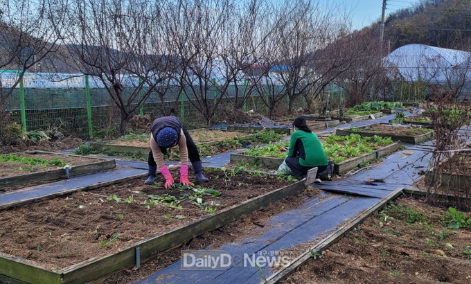 새마을 공동체 정원학교, 참가자들의 큰 호응 받으며 종강
