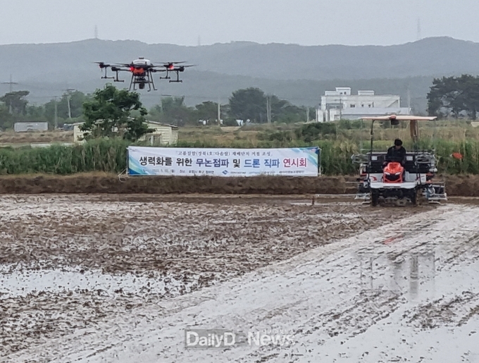 지역특화시범_포항시_다솜쌀_재배단지