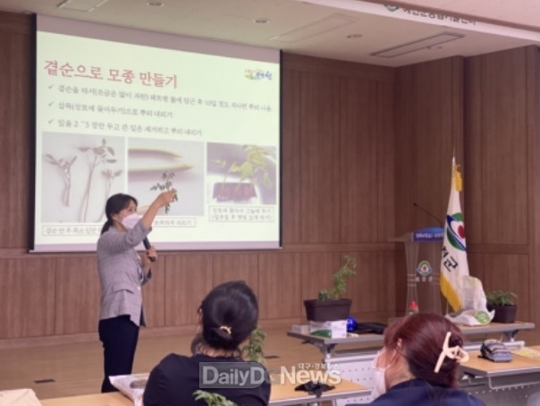 예천군, 베란다 텃밭 가꾸기 체험 교육생 모집