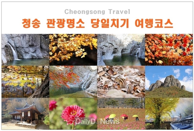 2023 청송군 SNS 콘텐츠 공모전 발표
