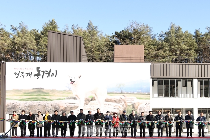  경주 건천에 천연기념물 동경이 보금자리 마련 