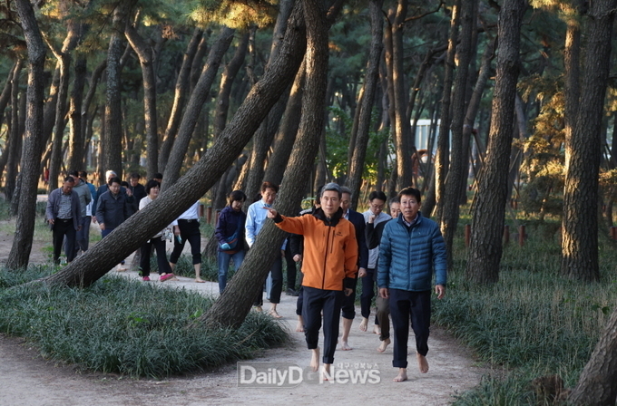 맨발 걷기를 직접 체험하고 있는 이강덕 포항시장과 포항시 간부 공무원들