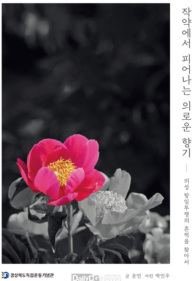  에세이 두 번째 '작약에서 피어나는 의로운 향기-의성' 표지