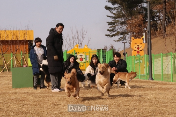 ‘달서 반려견 놀이터' 모습. (사진=달서구 제공)