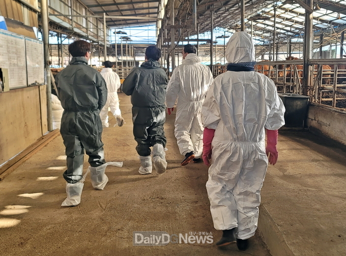 경주 21개 천년한우 농장 신규 HACCP 인증 획득