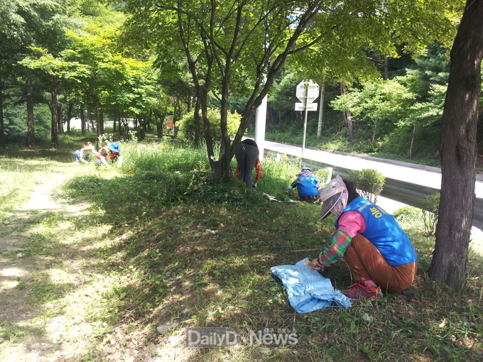 공공근로사업 사진
