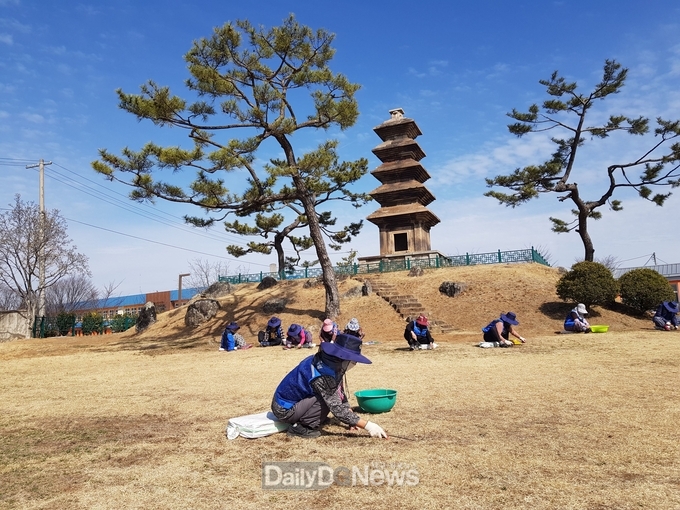 의성군, 2024년도 노인일자리 사업 시행