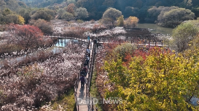 문경돌리네습지