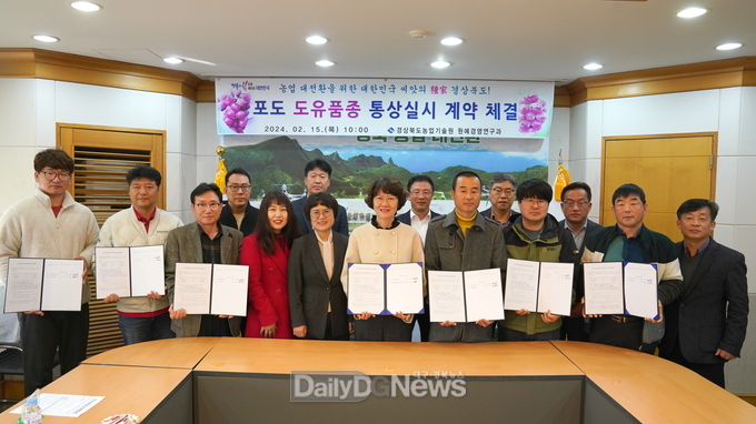 경북도, 프리미엄급 수출용 포도 글로리스타, 캔디클라렛 농가 보급