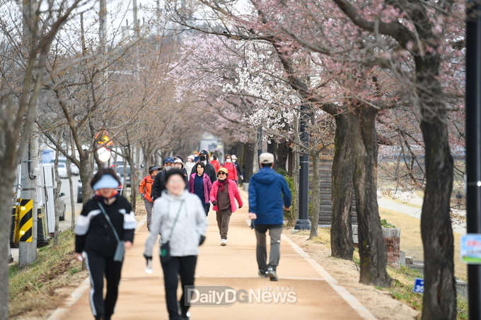 서천둔치 벚꽃길을 걷고 있는 시민들 모습