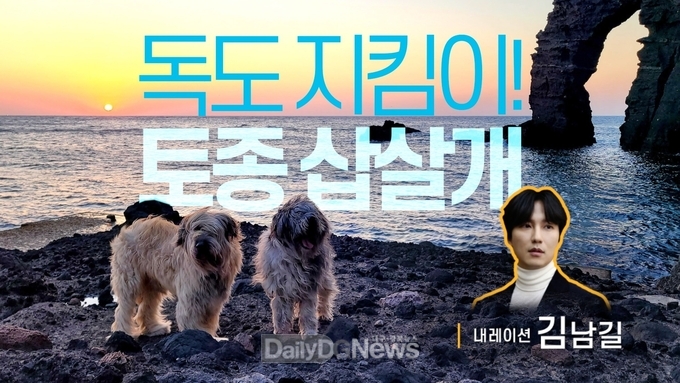 경북콘텐츠진흥원, 독도 지키는 토종견 삽살개의 역사 조명