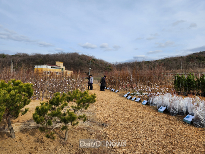 안동시산림조합, 나무시장 개장