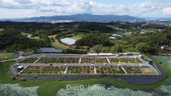 경산시, 도시농업 공영농장 성황리 개장