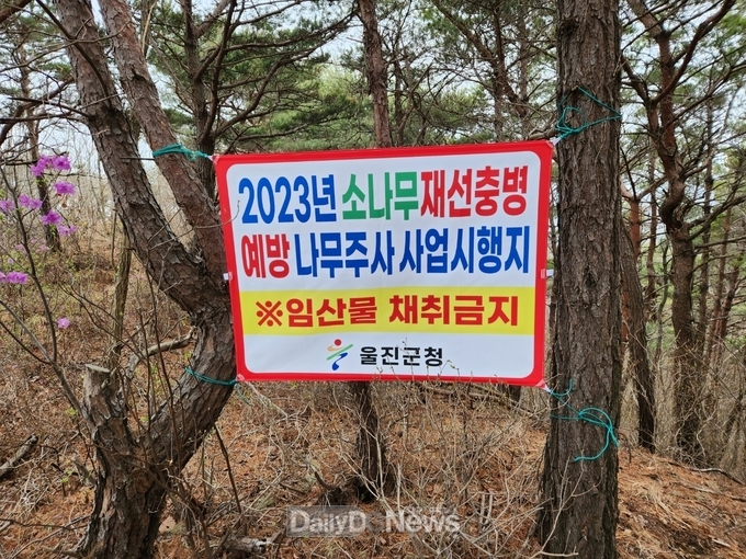 울진군, 소나무 재선충병“청정지역”유지에 총력 소나무재선충병 확산 방지 선제적 대응