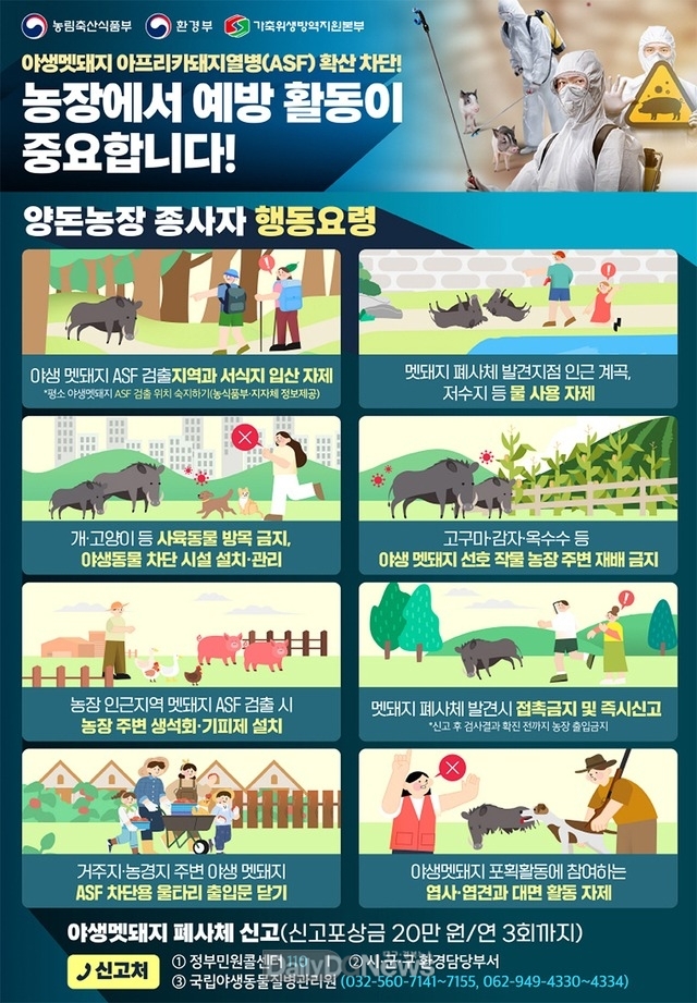 봉화군, 봄철 야생멧돼지 번식기 ASF 차단방역 총력대응