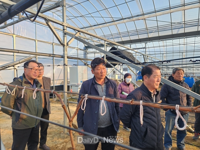 고령군 ,고품질 샤인머스켓 교육 실시