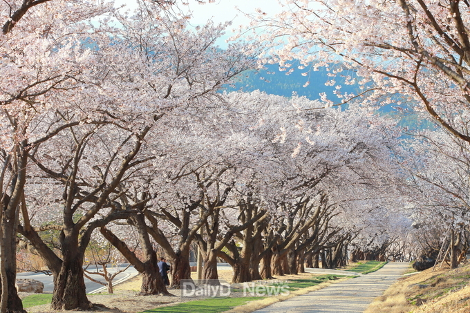 가산수피아