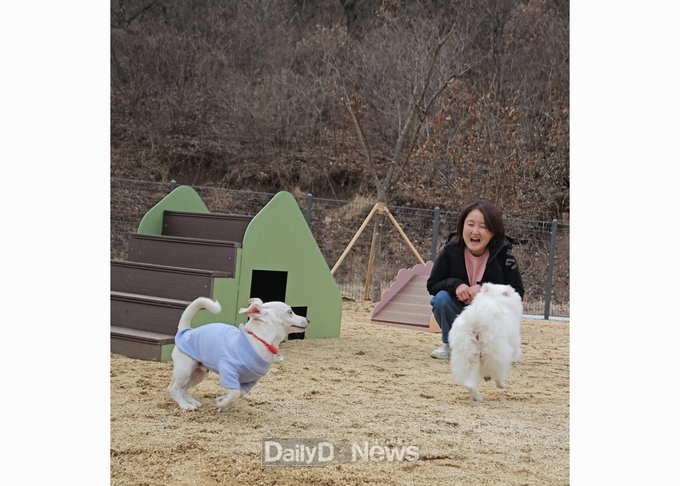 반려동물 친화 도시, 영양군