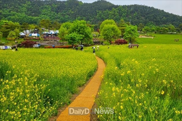 . <사진자료, 2023년 회룡포의 봄 전경>