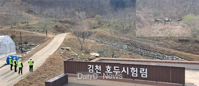 김천 호두 시험림, 드론 활용한 병충해 예방사업 추진