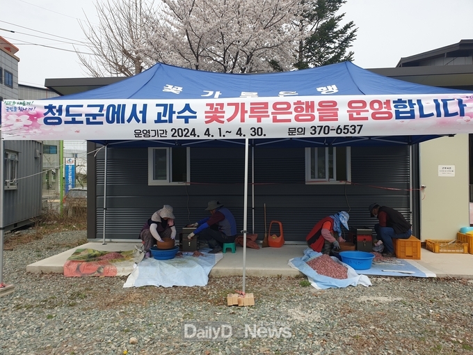 청도군, 과수 꽃가루은행 오는 30일까지 1개월간 무상 운영