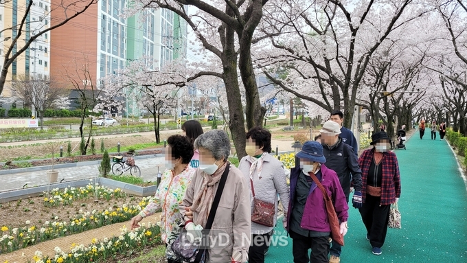 2024년 상반기 치매어르신쉼터 살랑살랑 벚꽃바람, 어르신 봄나들이