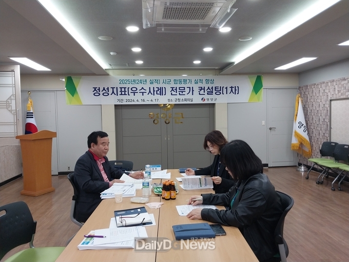 시군평가 컨설팅