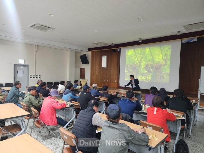 고령군, 고품질 샤인머스켓 교육 실시