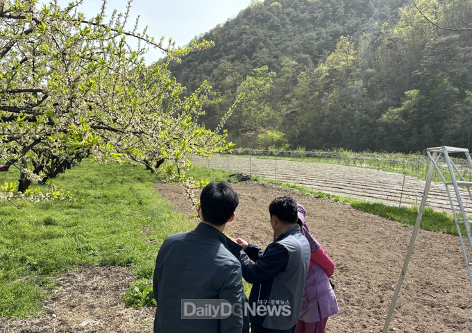 의성군, 올해 과수 생육 양호!
