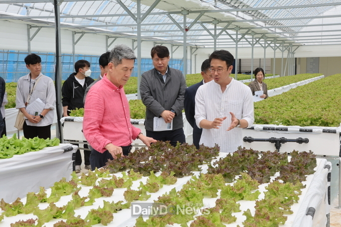 이강덕 시장, 농업의 미래 분무수경 상추재배 청년농업인 찾아 격려