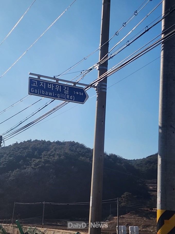 도로명주소 안내시설 일제조사