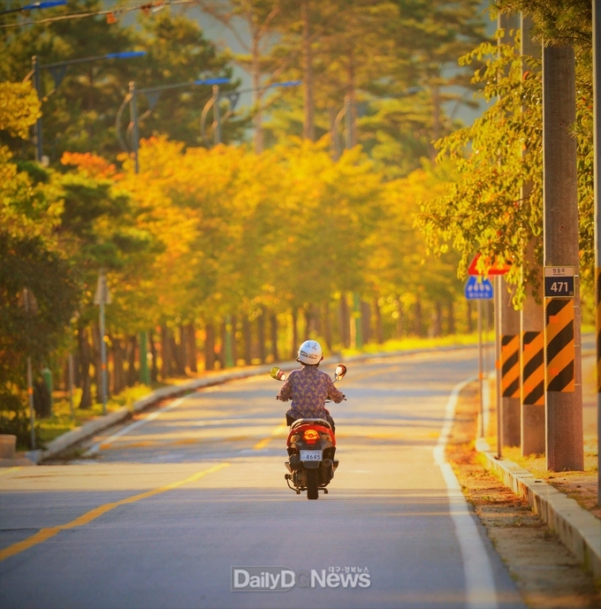 가을낭만(대상).