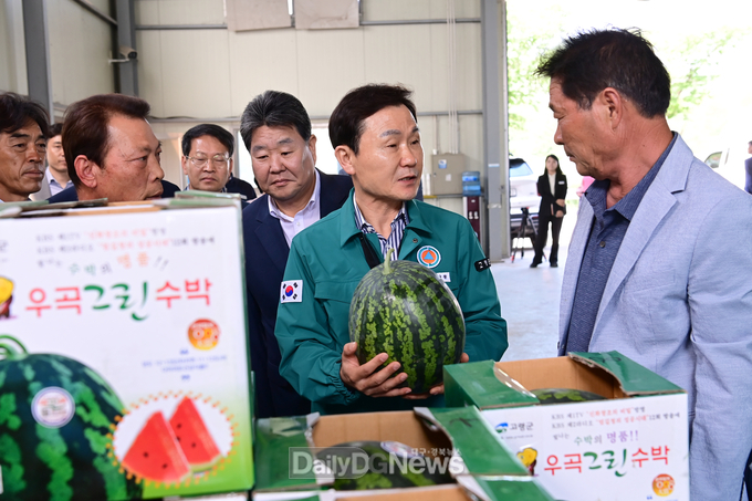 전국 최고의 고령우곡수박 본격 출하!