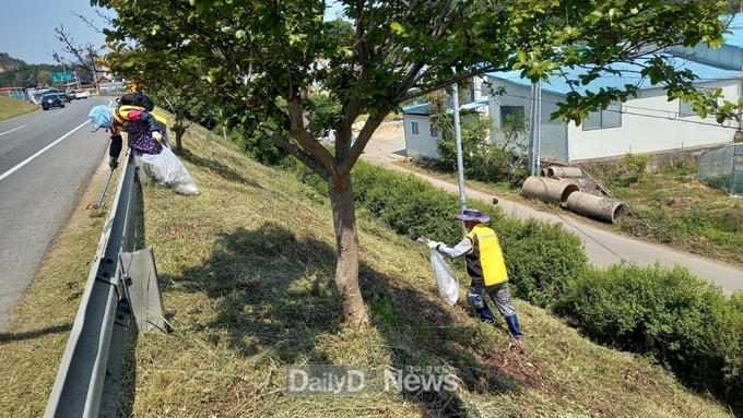 성주군, 성주읍‘이천변 생활환경 숲’ 성주참외&생명문화 축제 준비 완료