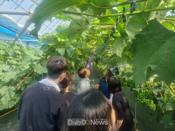 김천시 열린민원과, 농촌 일손 돕기 진행