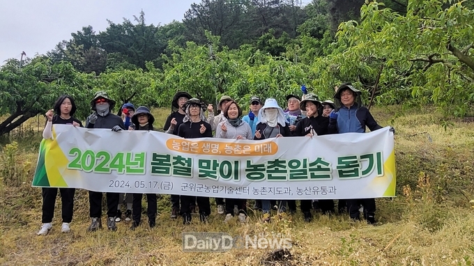 농촌지도과, 농산유통과 합동으로 복숭아 적과 도와