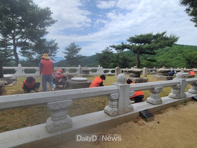성주군 문화사랑봉사회, 세종대왕자태실 환경정비