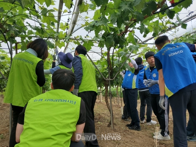 경산시, 농협‧한국조폐공사와 협업으로 농촌일손돕기 구슬땀
