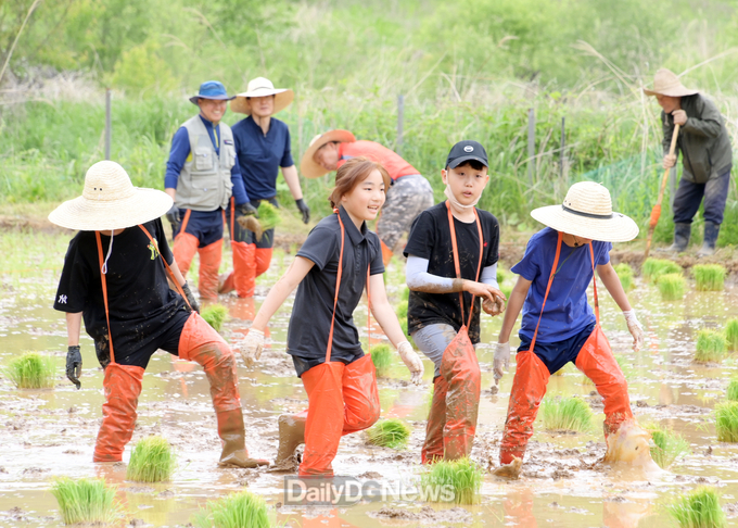 문경시, 산북초 학생들과 함께 전통방식 논농사 체험활동 시행
