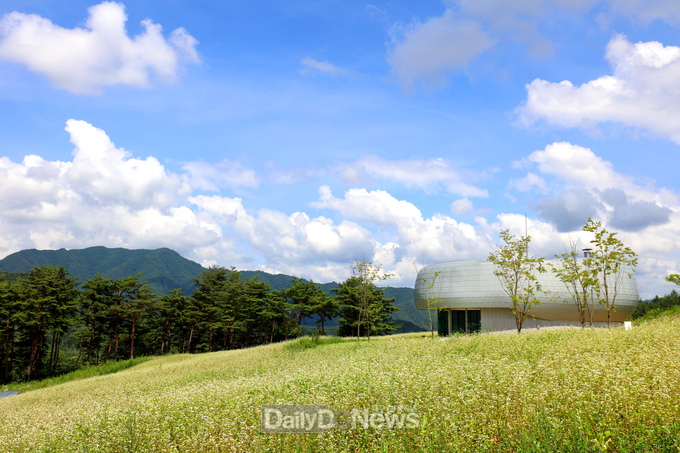 시드볼트 전경