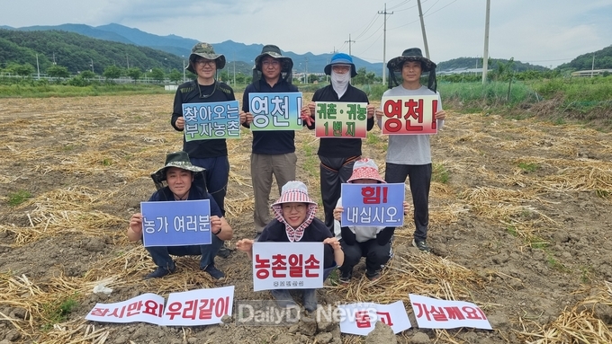 영천시 홍보전산실, 마늘농가 일손 돕기 구슬땀