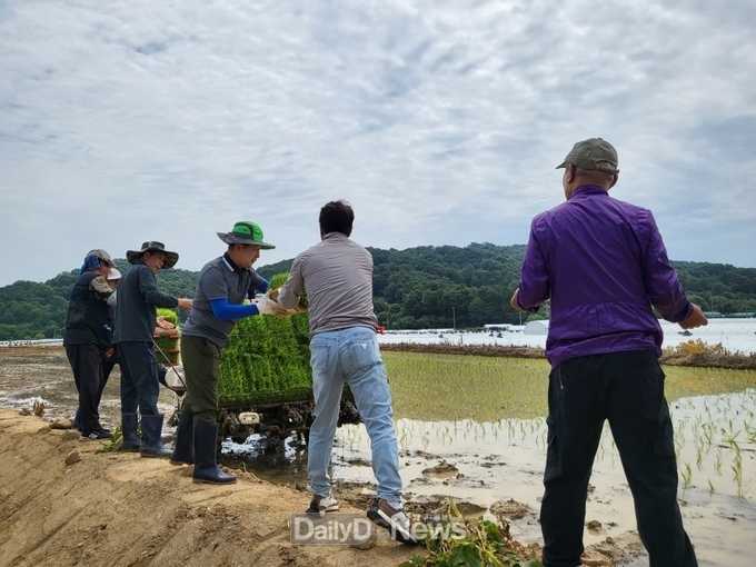 대가면 지역사회보장협의체, 저소득층 지원사업 종자돈 마련 위한 영농사업(모내기) 실시