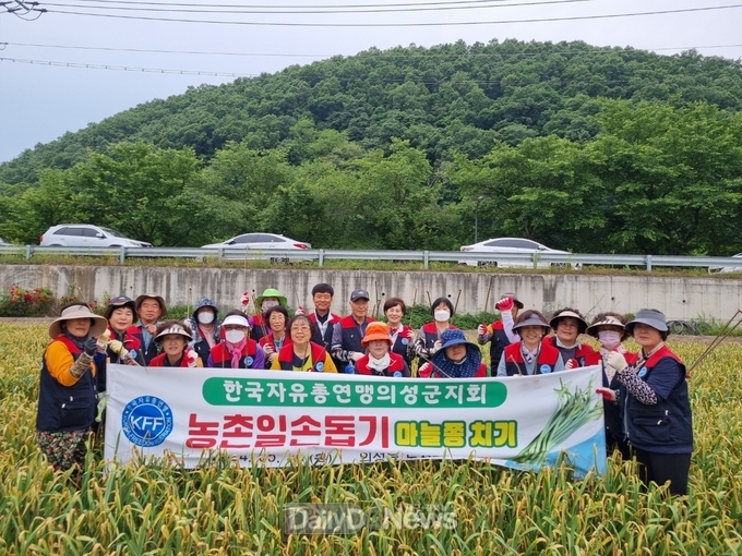 한국자유총연맹 의성군지회, 농촌일손돕기 활동 펼쳐