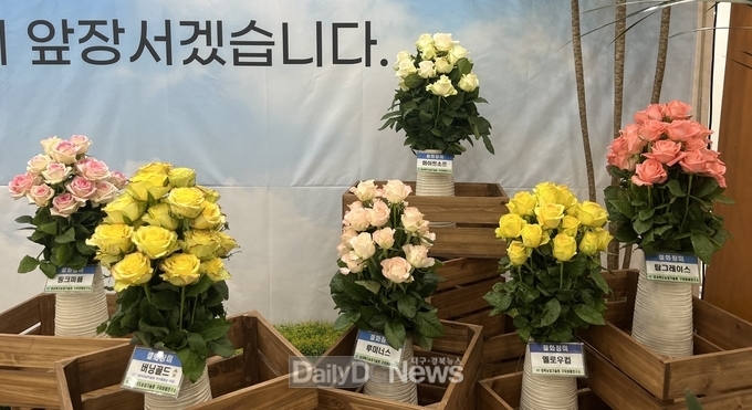 신품종 화훼, 대구꽃박람회에 선보이다!