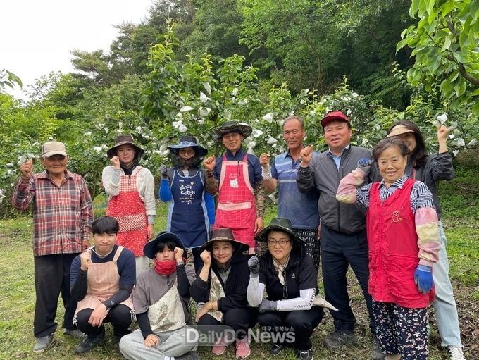 산성면 직원, 배봉지 씌우기 농촌일손 지원 구슬땀