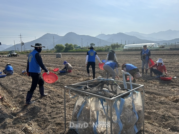 국제로타리 3700지구, 고령군 개진면에서 농촌일손돕기 실시