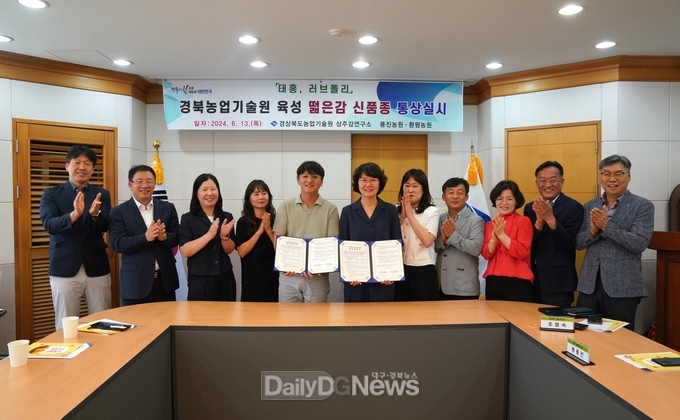 경북농업기술원, 떫은감 신품종 통상실시 계약 체결