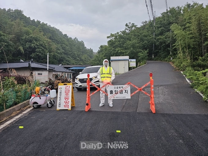 영천시 양돈농장, 아프리카돼지열병(ASF) 발생