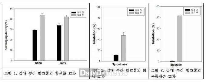 국립낙동강생물자원관갈대 뿌리 발효 추출물 미백 및 주름개선 효능 자료