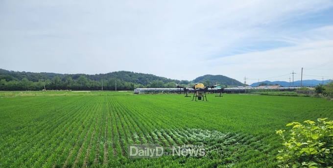 김천시, 벼 병해충 드론 활용한 공동방제 지원